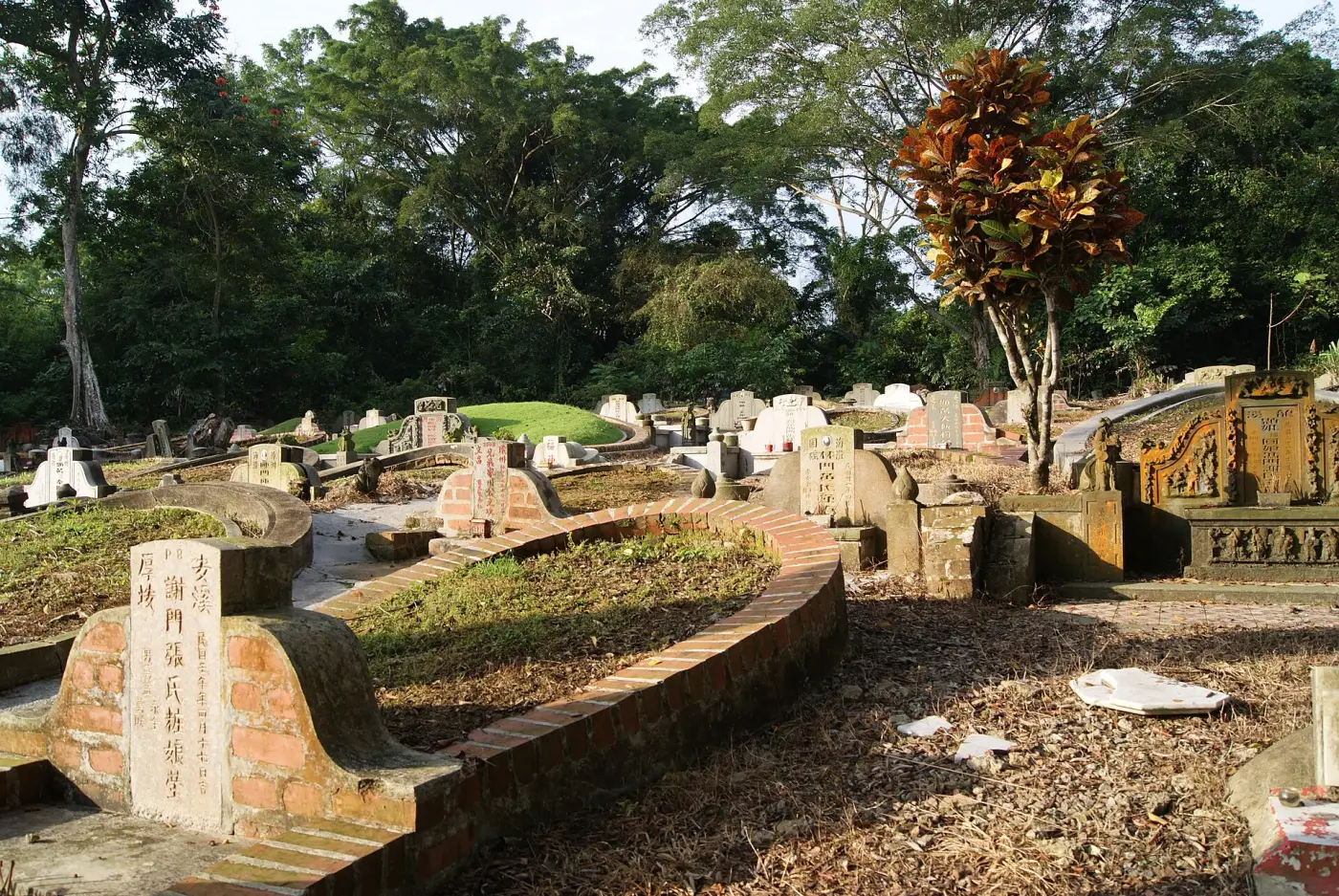 Graves among the trees at Bukit Brown Cemetery, Singapore